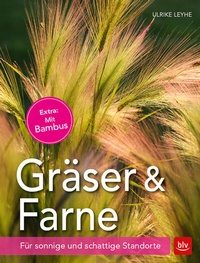Abbildung von: Gräser und Farne - BLV
