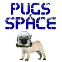 Enlarge image Cover: Pugs in Space - Amber Books