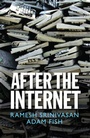 Cover: After the Internet - Polity Press