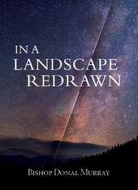 Enlarge image Cover: In a Landscape Redrawn - Veritas Publications