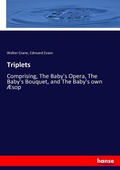 Cover: Triplets - Hansebooks