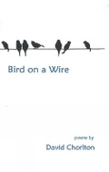 Cover: Bird on a Wire - Presa Press