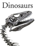 Cover: Encyclopedia of Dinosaurs - Amber Books