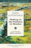 Cover: Walking on the Pastures of Wonder - Veritas Publications