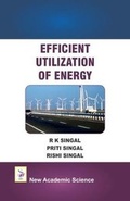 Cover: Efficient Utilization of Energy - New Academic Science Ltd