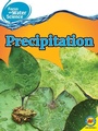Cover: Precipitation - Av2