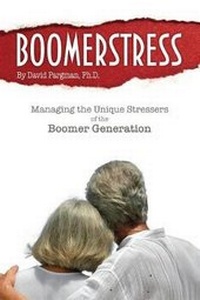 Enlarge image Cover: Boomerstress - Idyll Arbor