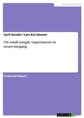 Cover: On small sample experiments in neuro-imaging - GRIN Verlag