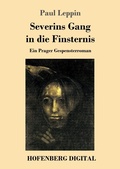 Cover: Severins Gang in die Finsternis - Hofenberg