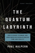Cover: The Quantum Labyrinth - Basic Books