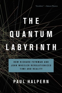 Enlarge image Cover: The Quantum Labyrinth - Basic Books
