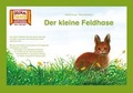 Cover: Der kleine Feldhase / Kamishibai Bildkarten - Hase und Igel Verlag
