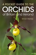Cover: Pocket Guide to the Orchids of Britain and Ireland - Bloomsbury Natural History