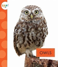 Enlarge image Cover: Owls - Amicus Ink