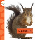 Cover: Squirrels - Amicus Ink
