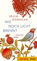 Cover: Wo noch Licht brennt - Haymon Verlag