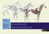 Bild vergrößern Bild: Arbeitsbuch Pferdeanatomie - Kynos