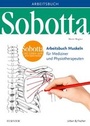 Bild: Sobotta Arbeitsbuch Muskeln - Urban & Fischer