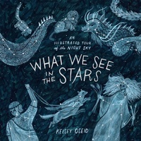 Abbildung von: What We See in the Stars - Boxtree Ltd