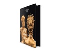 Cover: Cellinis Saliera - Holzhausen Verlag