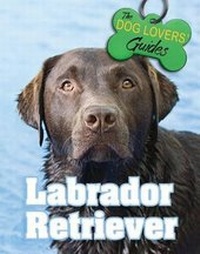 Enlarge image Cover: Labrador Retriever - Mason Crest Publishers