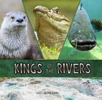 Enlarge image Cover: Kings of the Rivers - Raintree