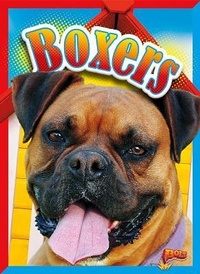 Enlarge image Cover: Boxers - Bolt