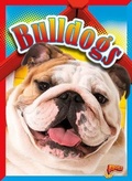 Cover: Bulldogs - Bolt