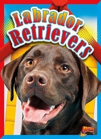 Enlarge image Cover: Labrador Retrievers - Bolt