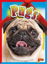 Enlarge image Cover: Pugs - Bolt