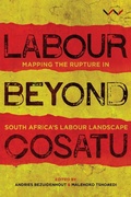 Cover: Labour Beyond Cosatu - Wits University Press