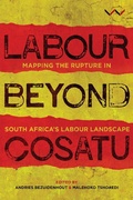 Cover: Labour Beyond Cosatu - Abingdon Press