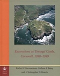 Cover: Excavations at Tintagel Castle, Cornwall, 1990-1999 - Society of Antiquaries of London