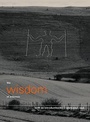 Cover: The Wisdom of Solomon - Canongate Books