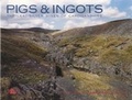 Cover: Pigs and Ingots - The Lead and Silver Mines of Cardiganshire - Y Lolfa