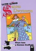 Cover: Cyfres Arwyr Cymru: 3. Llyfr Lliwio Santes Dwynwen - Y Lolfa