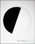 Cover: David Ward - John Hansard Gallery