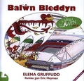 Cover: Cyfres Llyfrau Llawen: 13. Balwn Bleddyn - Y Lolfa