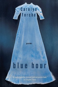 Enlarge image Cover: Blue Hour - Collins