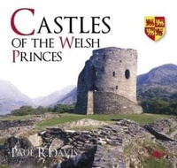Abbildung von: Castles of the Welsh Princes - Y Lolfa