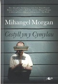 Cover: Cestyll yn y Cymylau - Y Lolfa