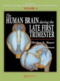 Bild: The Human Brain During the Late First Trimester - CRC Press