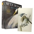Cover: Audubon's Aviary - Skira Rizzoli