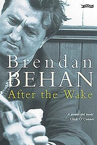Enlarge image Cover: After The Wake - O'Brien Press Ltd