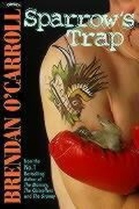 Enlarge image Cover: The Scrapper - O'Brien Press Ltd
