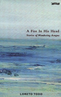 Abbildung von: A Fire in his Head - O'Brien Press Ltd