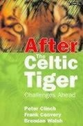Cover: After the Celtic Tiger - O'Brien Press Ltd