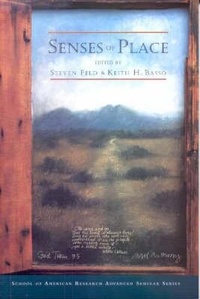Enlarge image Cover: Senses of Place - James Currey