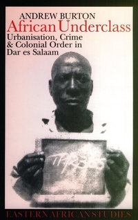 Enlarge image Cover: African Underclass - James Currey