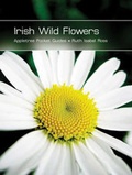 Cover: Irish Wild Flowers - Appletree Press Ltd